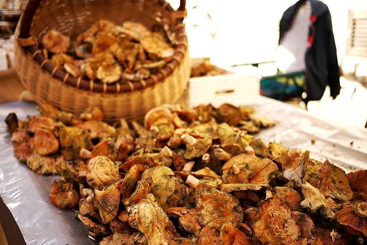 a photo of a mushroom stall at a majorcan market