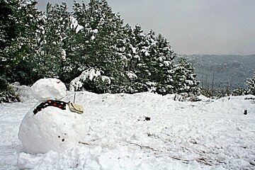 Snowman and snowy landscape behind