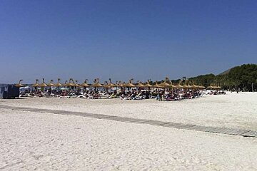 photo of a beach and sun loungers