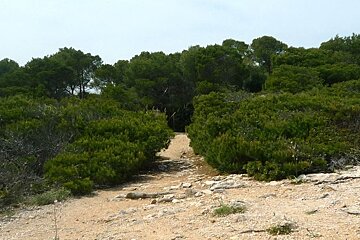 A photo of the path to Rajada Lighthouse mallorca majorca