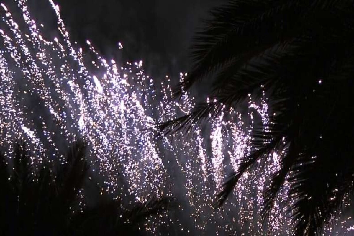 fireworks and palm trees