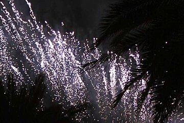 fireworks and palm trees