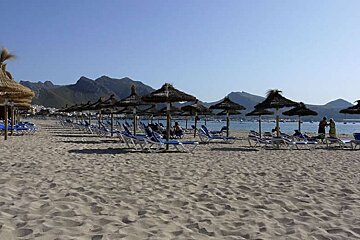 photo of beach and palm parasols