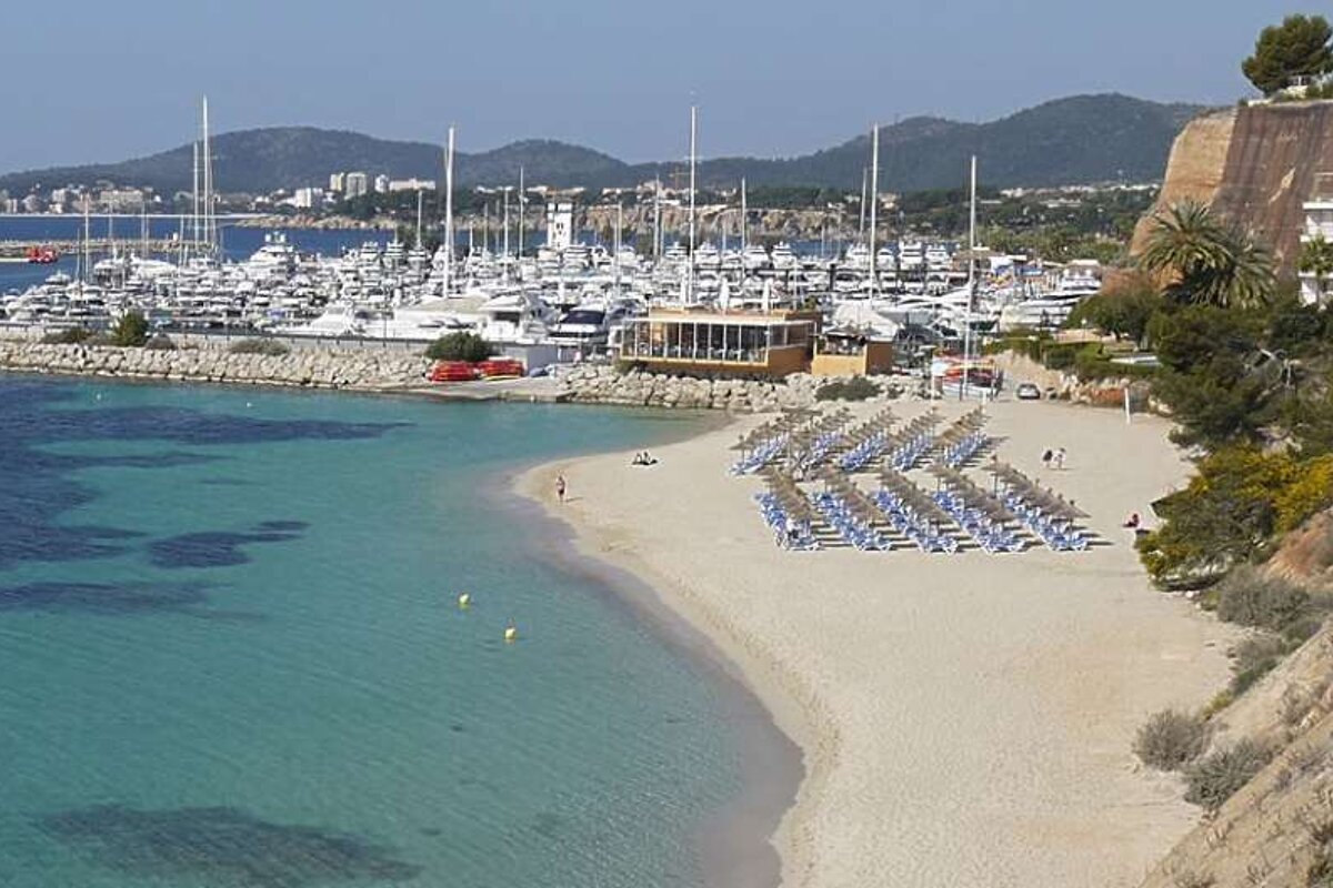 a photo of a beach and a marina