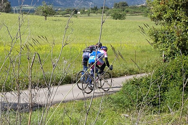 a photo of cylists in mallorca majorca