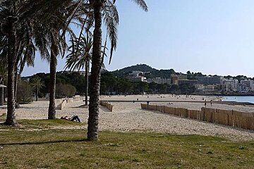 a photo of a sandy beach and palm trees