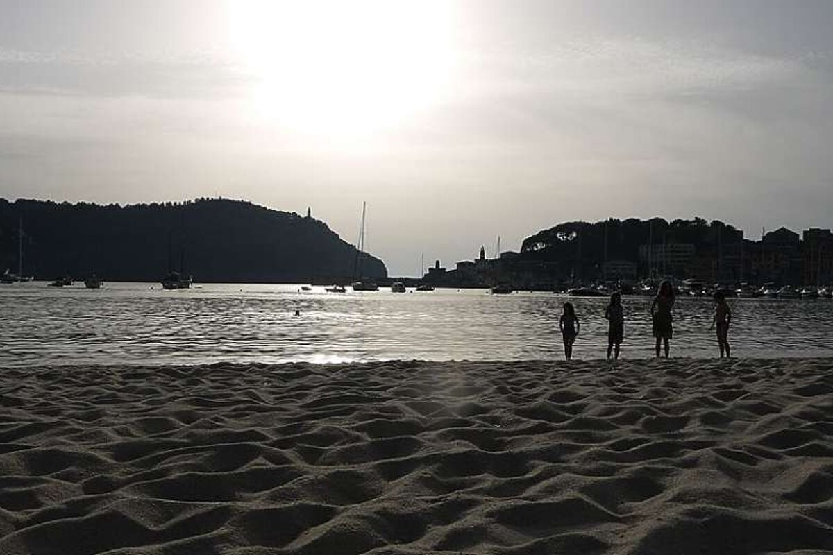 photo of a beach with the sun setting
