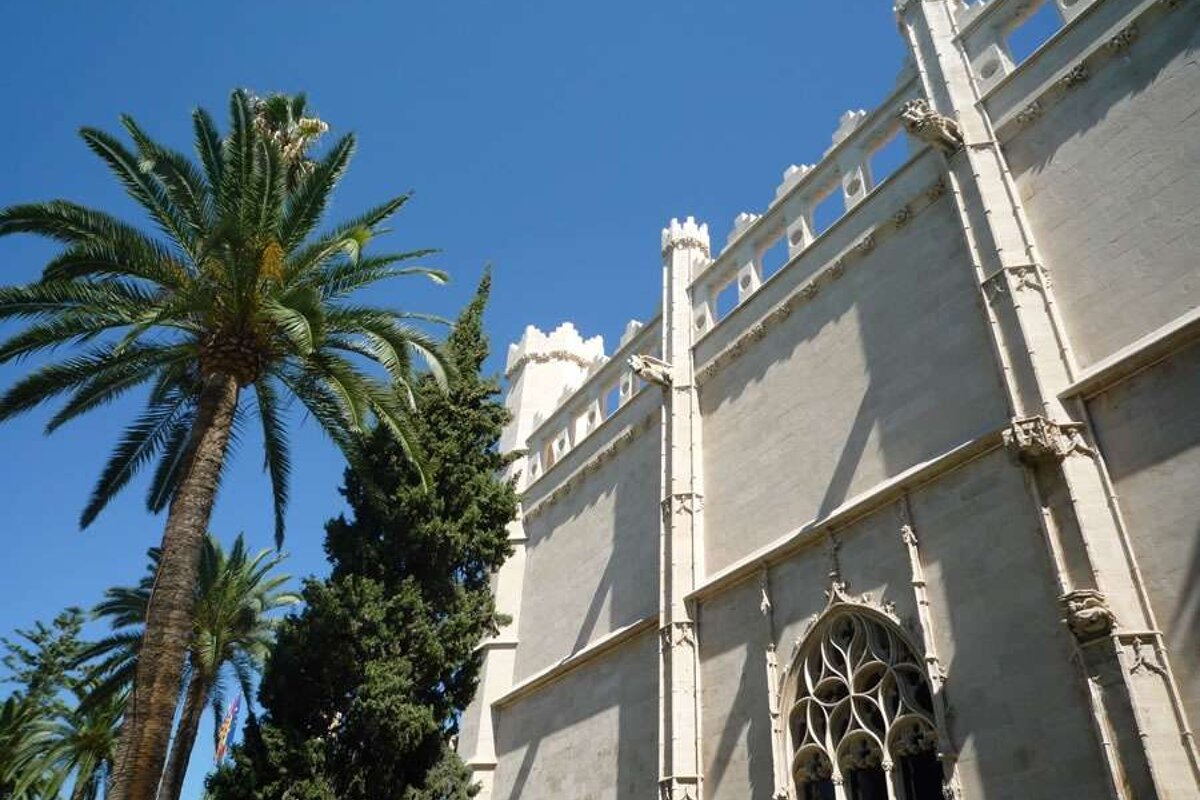 a photo of la llonja building with a palm tree in palma de majorca