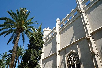 a photo of la llonja building with a palm tree in palma de majorca