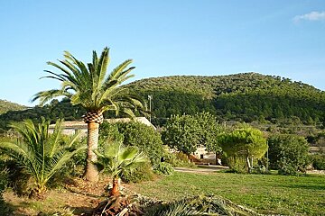 a photo of countryside in Randa majorca