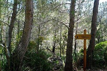 a photo of a hiking sign in Puigunyent mallorca majorca