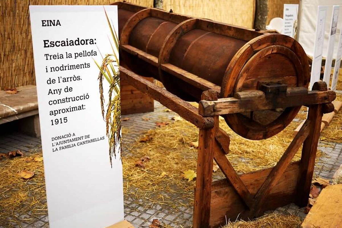 a photo of a rice agricultural tool in majorca