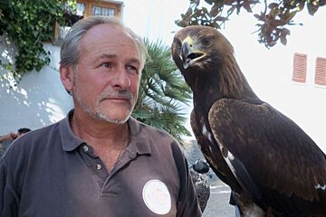 Man with eagle