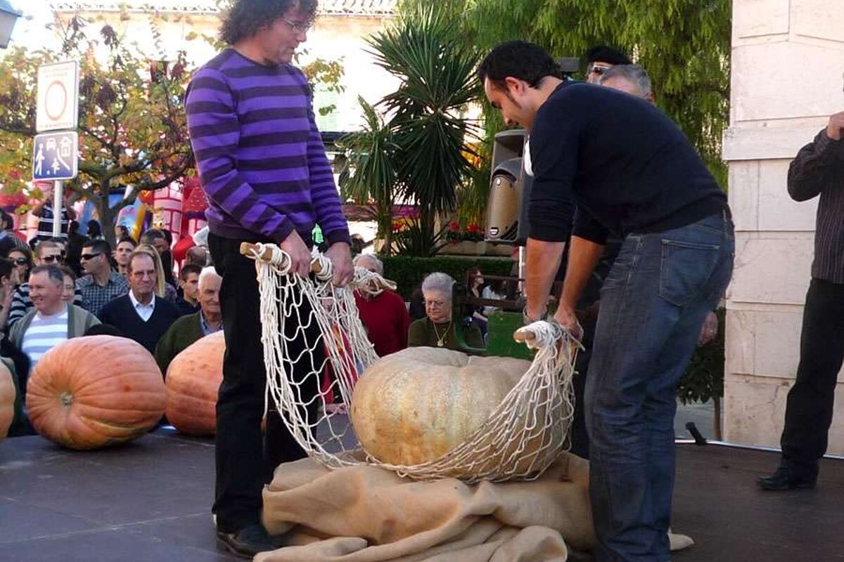 a photo of two men weighing a giant pumpkin at muro fira majorca