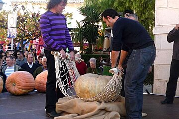 a photo of two men weighing a giant pumpkin at muro fira majorca