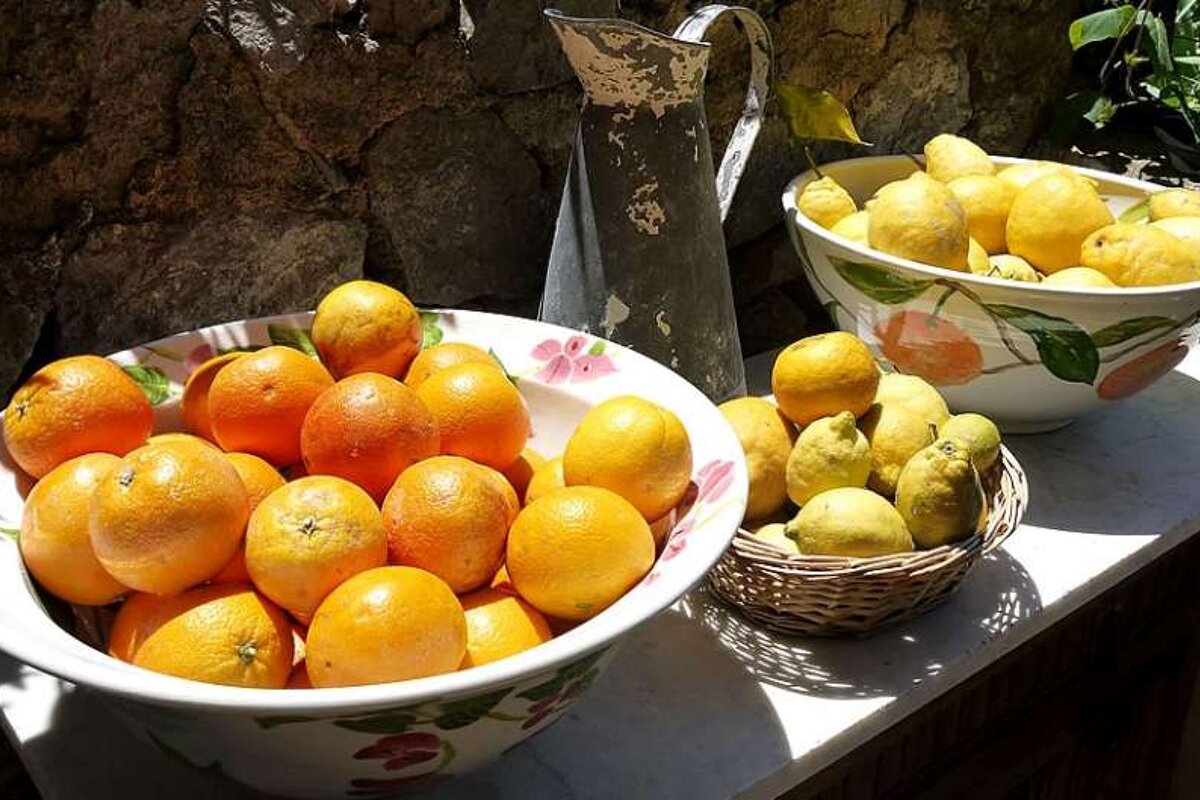 photo of bowls of oranges and lemons