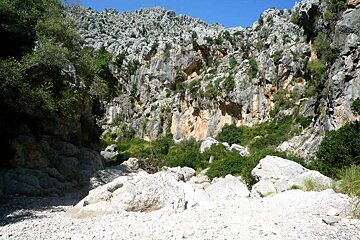 a photo of the valley floor in the tramuntana mountains of majorca