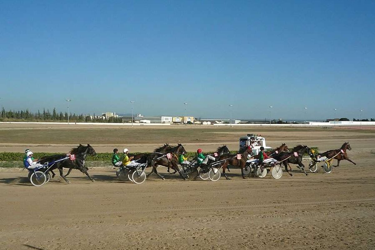 a photo of horses and carriages in a trotting race in majorca