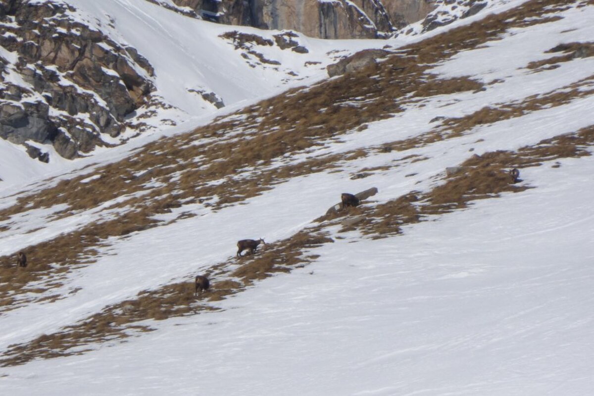 Sunny pistes in brilliant shape this week