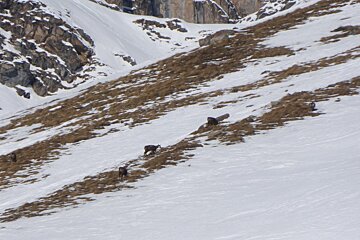 Sunny pistes in brilliant shape this week