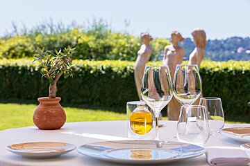 A table set with plates glasses and a potted plant