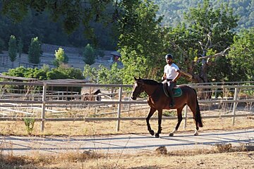 Ses Rotes Horses