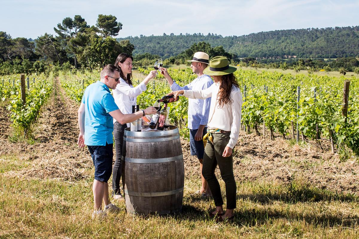 Villa Baulieu Vineyard, Le Puy Ste Reparade