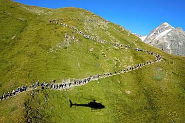 trail runners