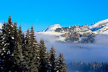 avoriaz town above the cloud with snowy trees in the forground