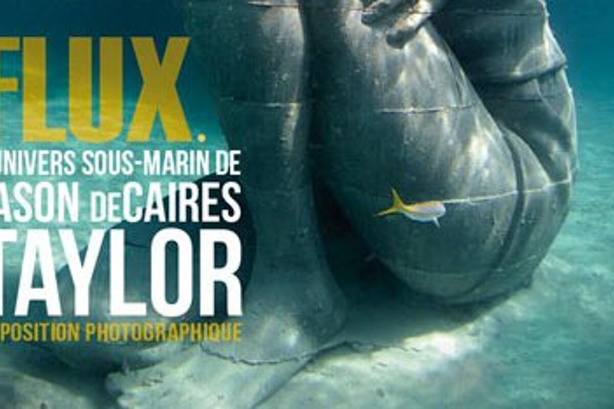 Flux - Jason DeCaires Taylor Underwater Universe Exhibition, Ile Sainte-Marguerite