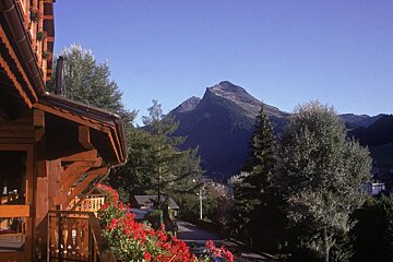 A view of a mountain from a balcony with red flowers
