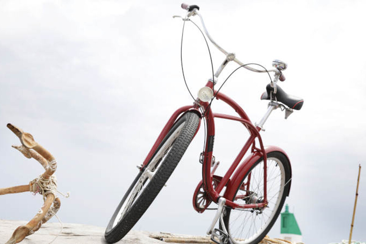 A red bicycle is parked on a piece of driftwood