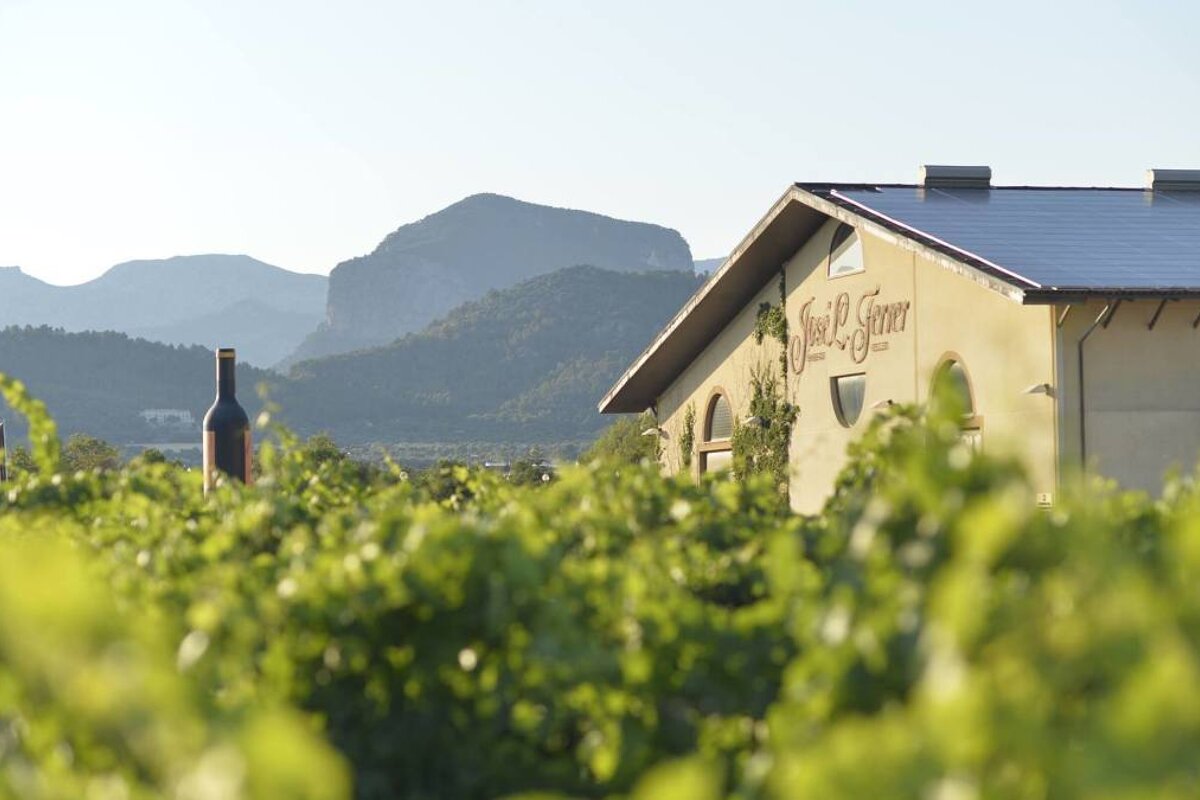 Jose Ferrer Vineyard, Binissalem exterior