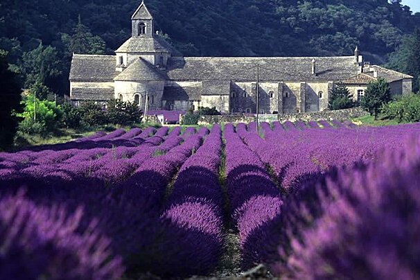 Abbaye Notre Dame de Senanque, near Gordes