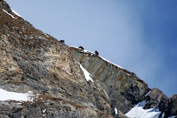 Sunny skinning in Val d'Isere, Val d'Isere - Centre