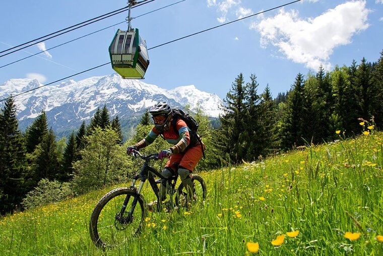 a mountain biker riding through yellow flowers near a ski lift