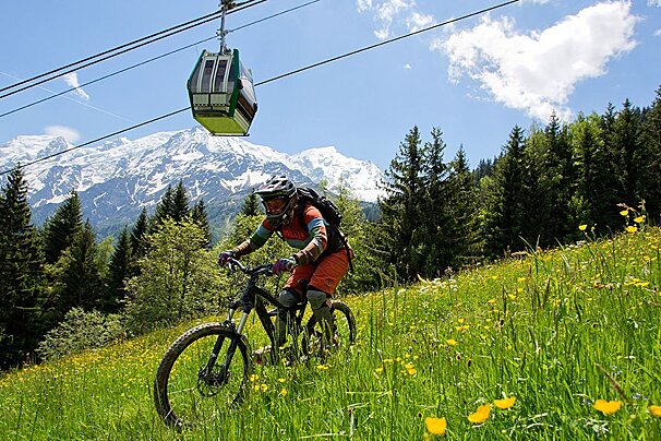 a mountain biker riding through yellow flowers near a ski lift