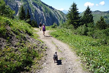 two people walking on a hiking trail with a dog