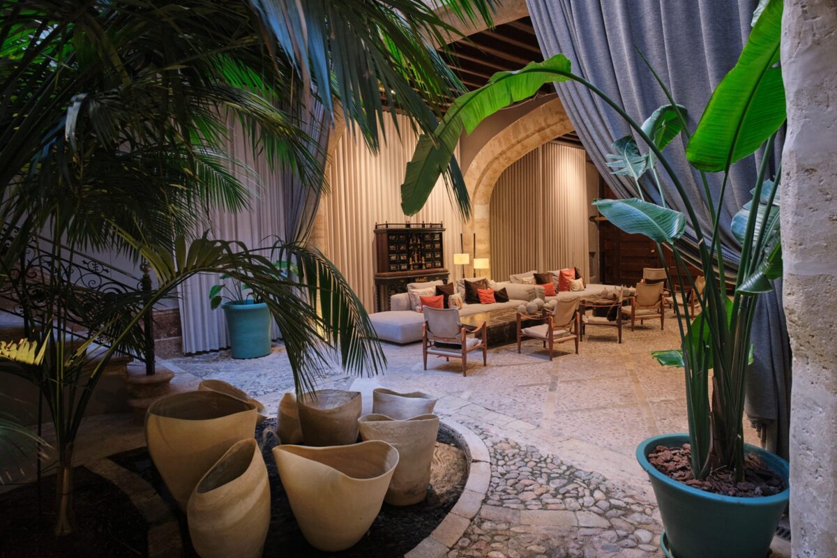 A room with a lot of potted plants and chairs