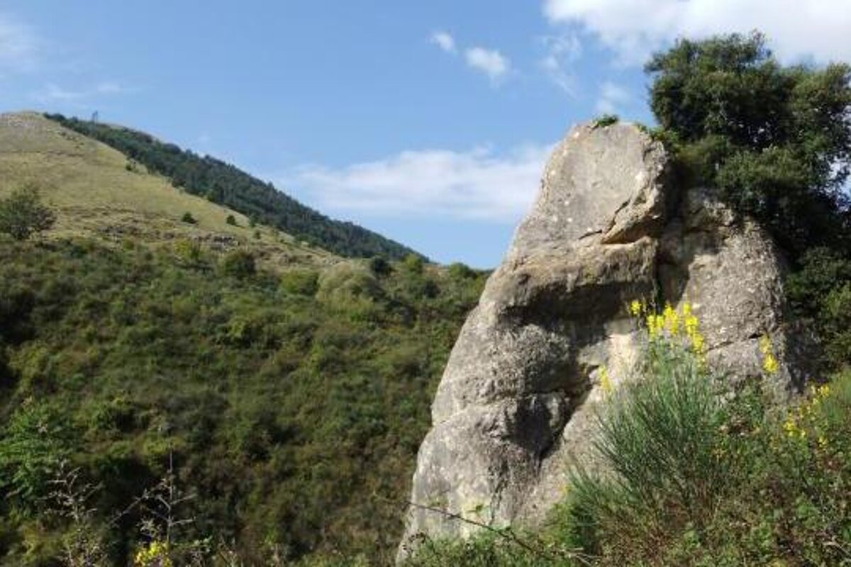 A large rock in the middle of a forest with a mountain in the background