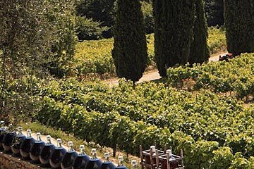 St Paul de Vence & Wine Tasting Guided Tour, Nice