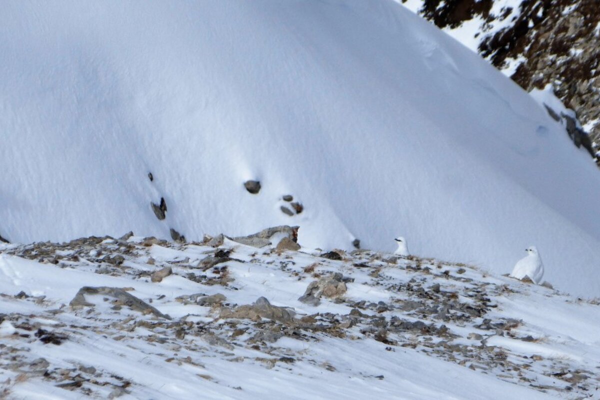 Winter returns to Val d'Isere in March