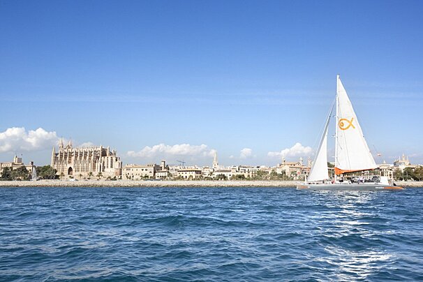 Attraction 24m Catamaran, Palma Centre & Marina exterior