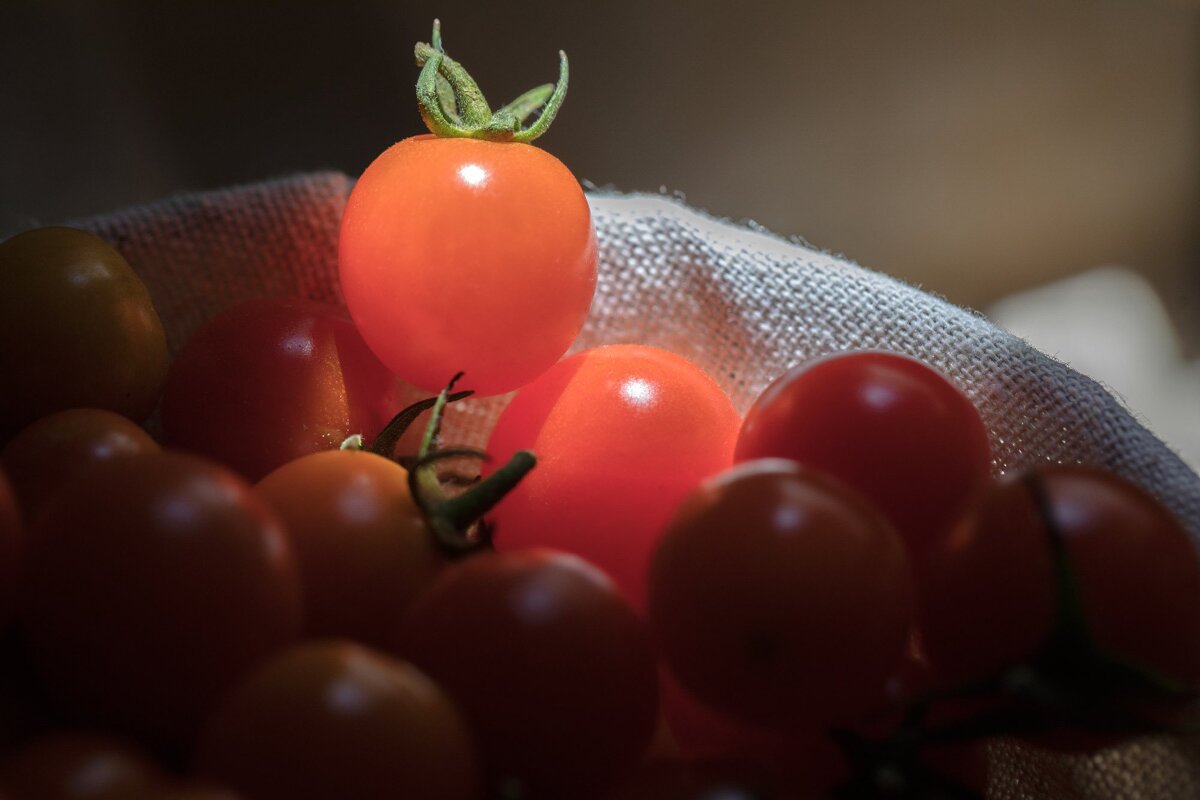 Can Aulí Hotel, Pollensa (Pollenca)