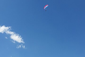 tiny paraglider up high