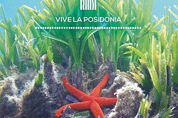 Viu La Posidonia Festival 2020, Ibiza Town