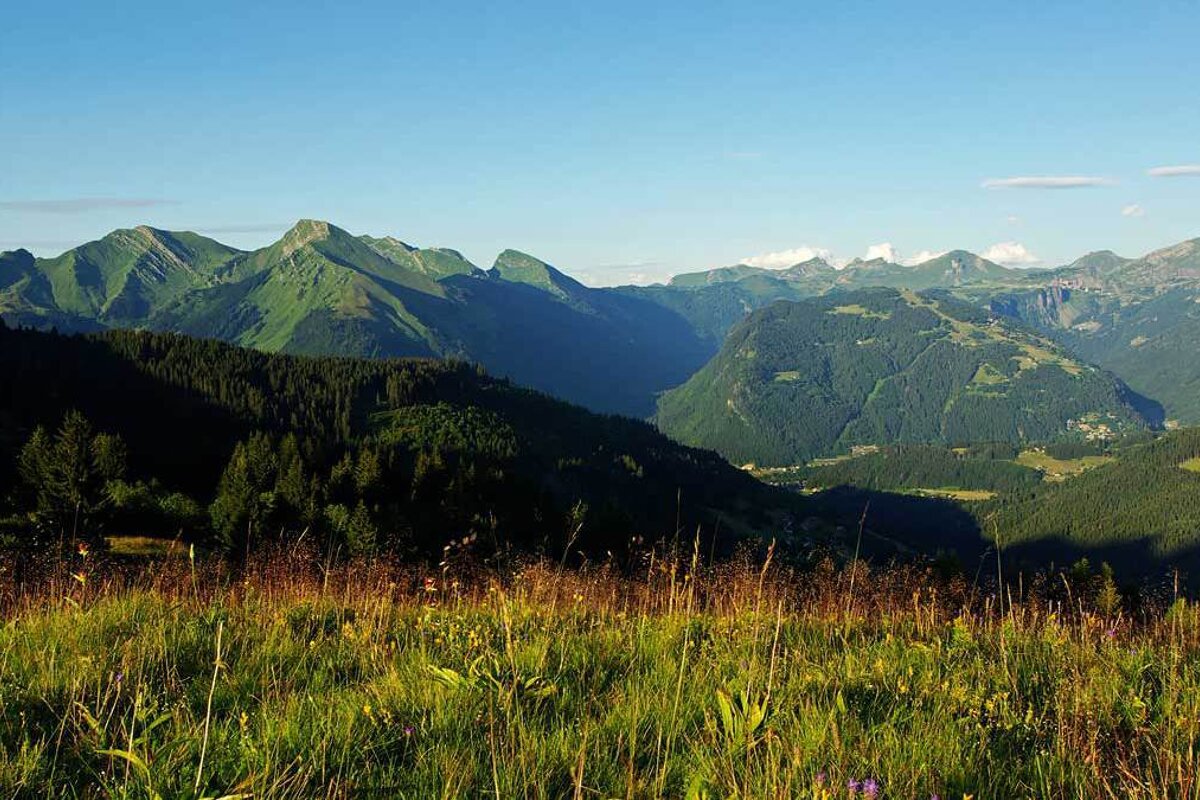 A view of a valley with mountains in the background