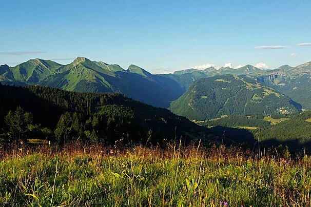 A view of a valley with mountains in the background