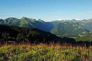 A view of a valley with mountains in the background