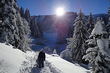 snowboarder in powder walking